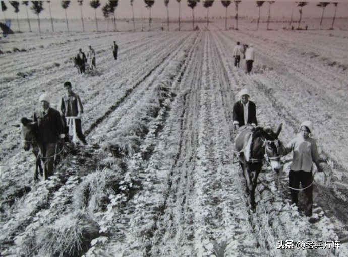 新中国70年代初期欣欣向荣的农村人民公社