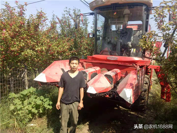 雷沃收割機