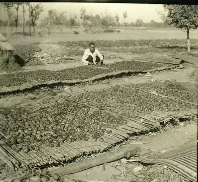 民国农村奇案：新婚银匠夫妻引发连环凶杀，真相错综复杂扑朔迷离