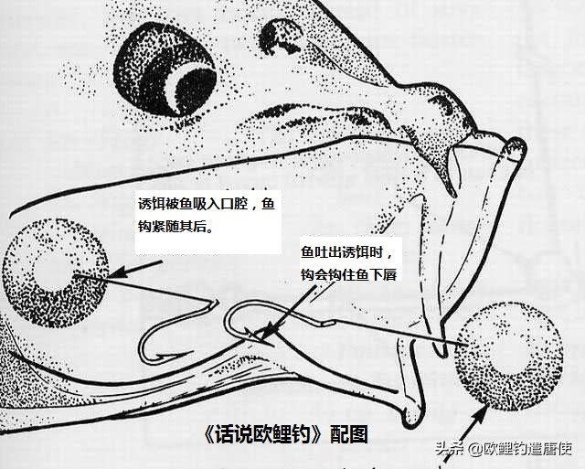 世界杯钓鱼视频大全(钓鱼奥运会南非落幕，看谁是钓鲫鱼、鲈鱼、鲤鱼的王者！)