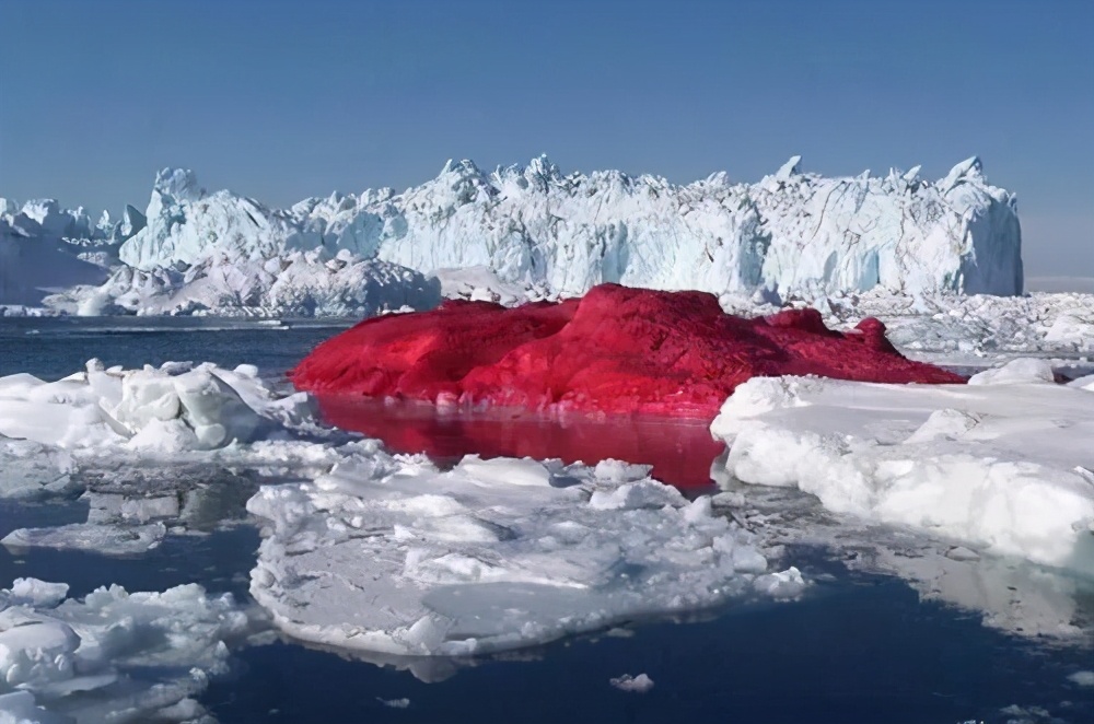 南极出现西瓜瓤般的红雪,闻起来还有西瓜味,却和西瓜没半点关系