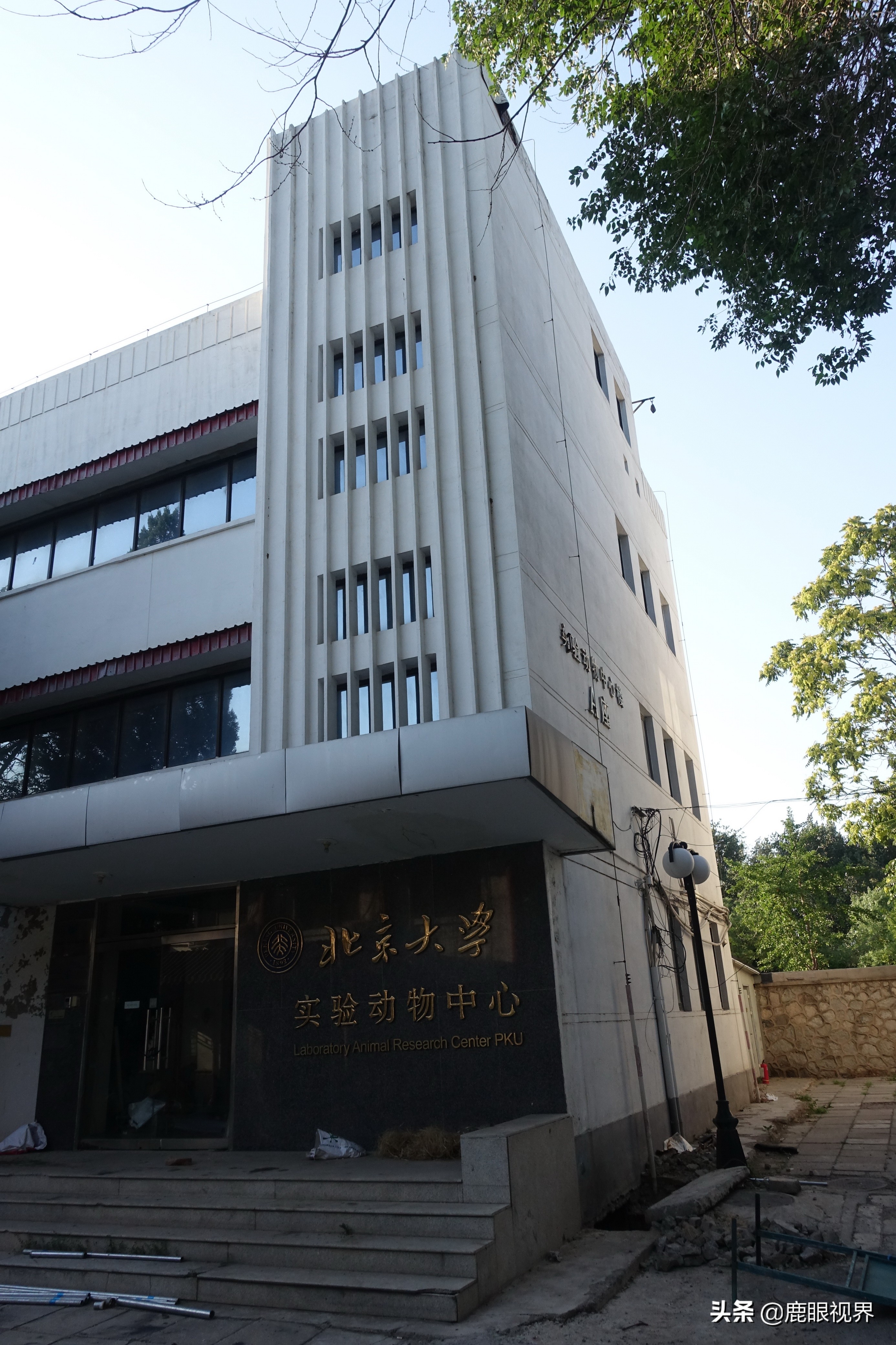 北大风光（二）北大的每一幢房屋都是标志性建筑