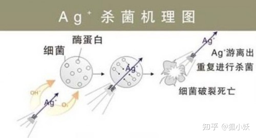 2021洗衣机推荐：洗衣机怎么选？海尔美的小天鹅按预算教你选