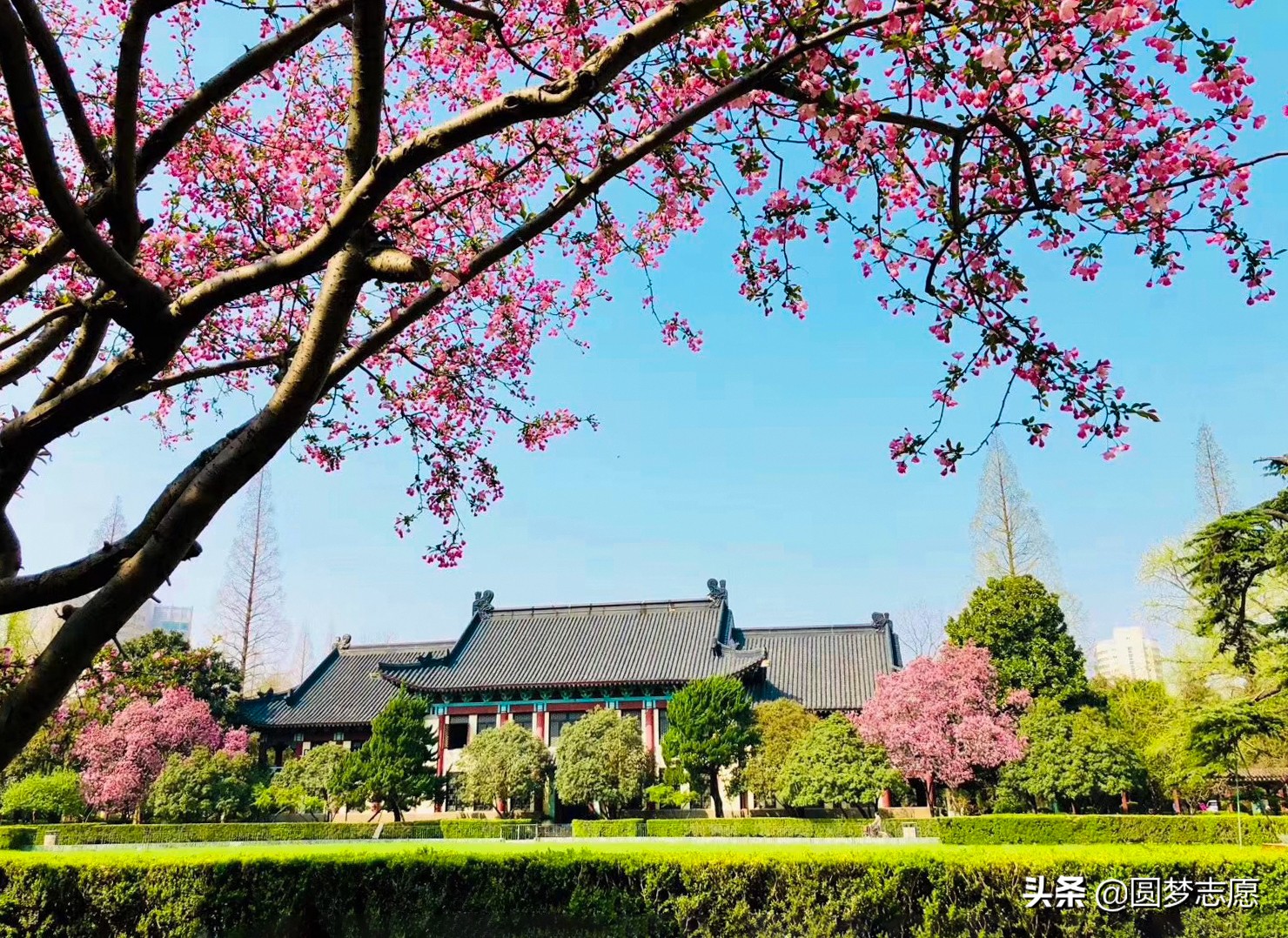 2017年高考580分能上什么大学（600分能上的师范类大学）