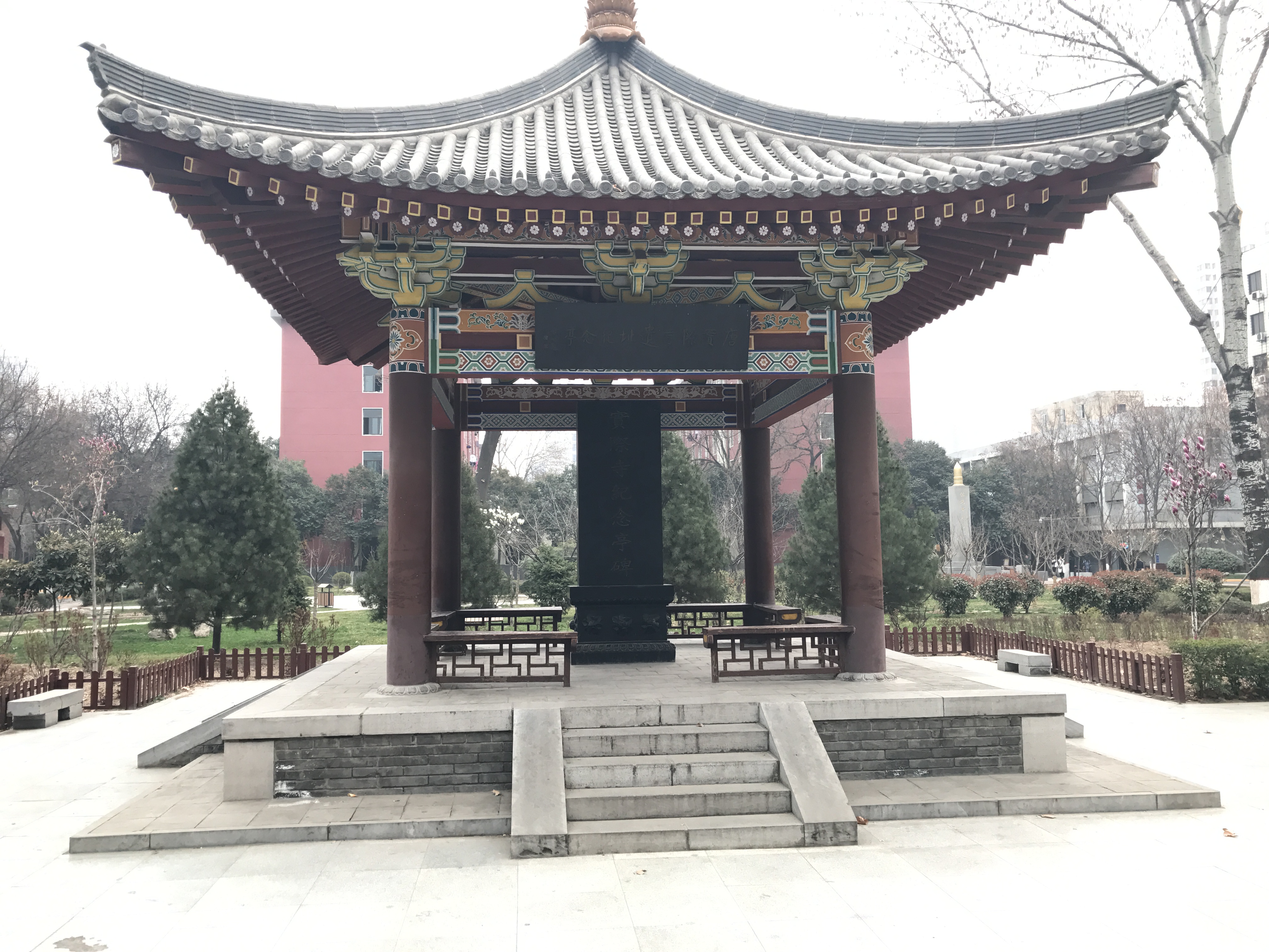 119周年校庆，募捐11.9元，西北大学“伸手要钱”说明什么？