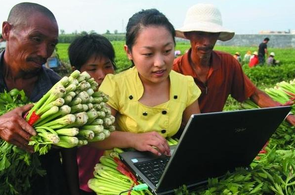 “回不去农村挤不进城市”，农村大学生的辛酸，真是现实且扎心