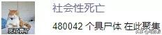 国产喜剧再掀热潮，新爆款剧集强势登顶排行榜