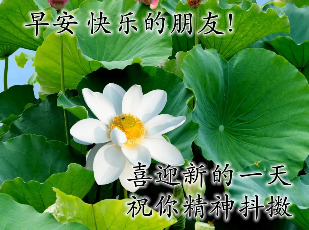 2022最漂亮的早安图片 早安图片唯美高清图图片