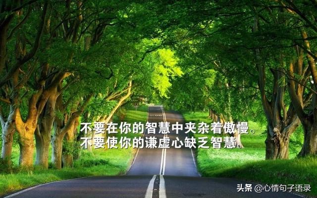 励志语录：只有经历过地狱般的折磨，才有征服天堂的力量