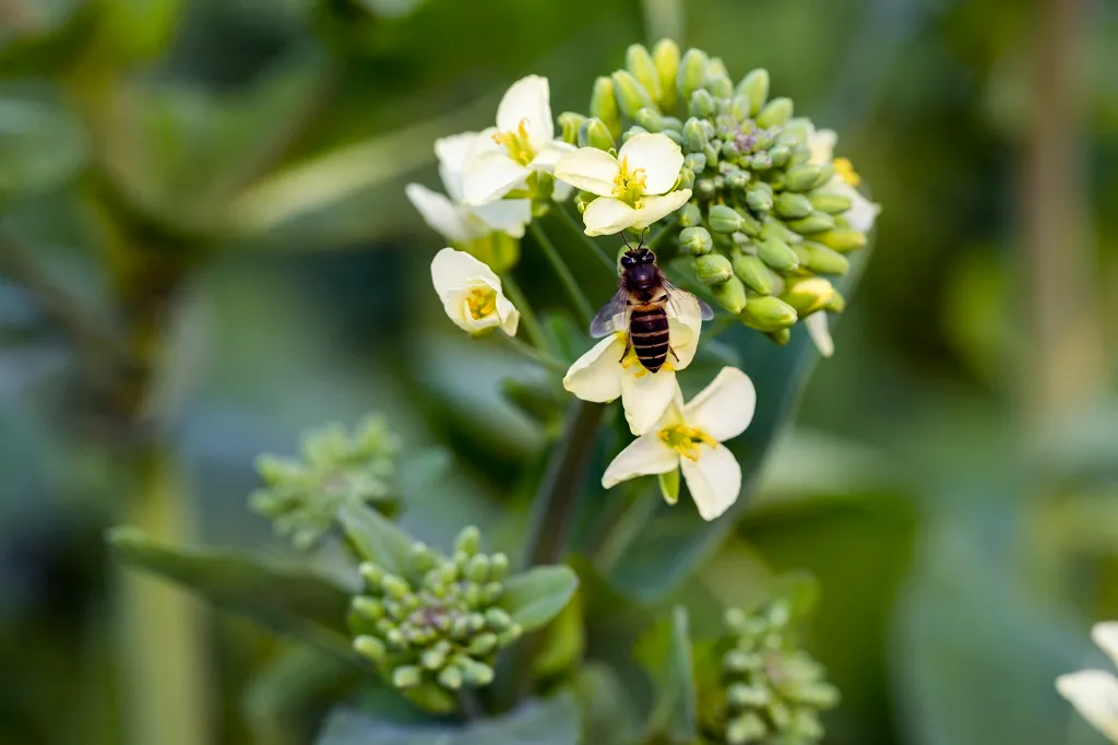 国家级一流！厉害了我的云南农大