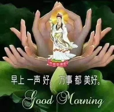 珍贵的友情总是一点一滴凝聚起来的,它包含了许多欢笑,早安