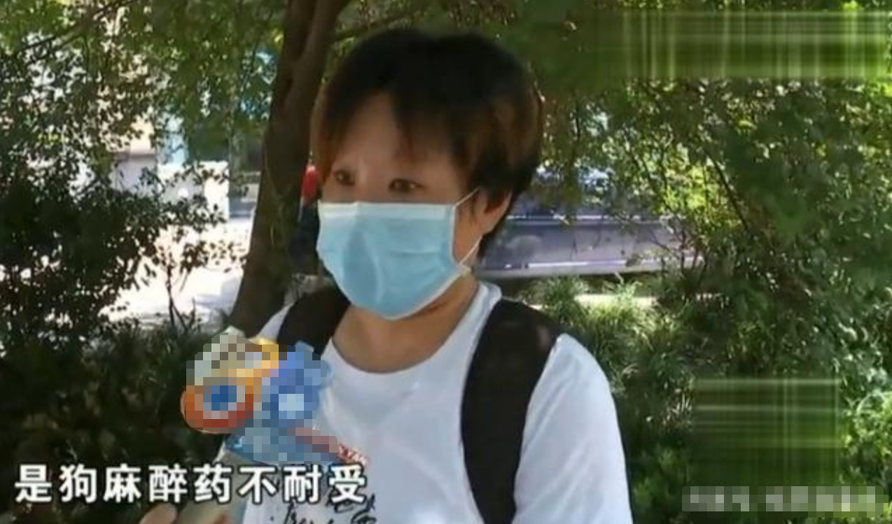杭州一女子送土狗做绝育，却死在手术台上，医院赔偿1500被拒