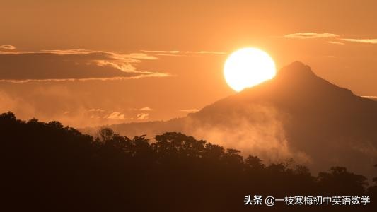 定语从句详解：语法精讲与实例分析