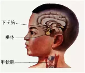 既未婚，又没有男盆友！20岁女大学生分泌乳汁？！