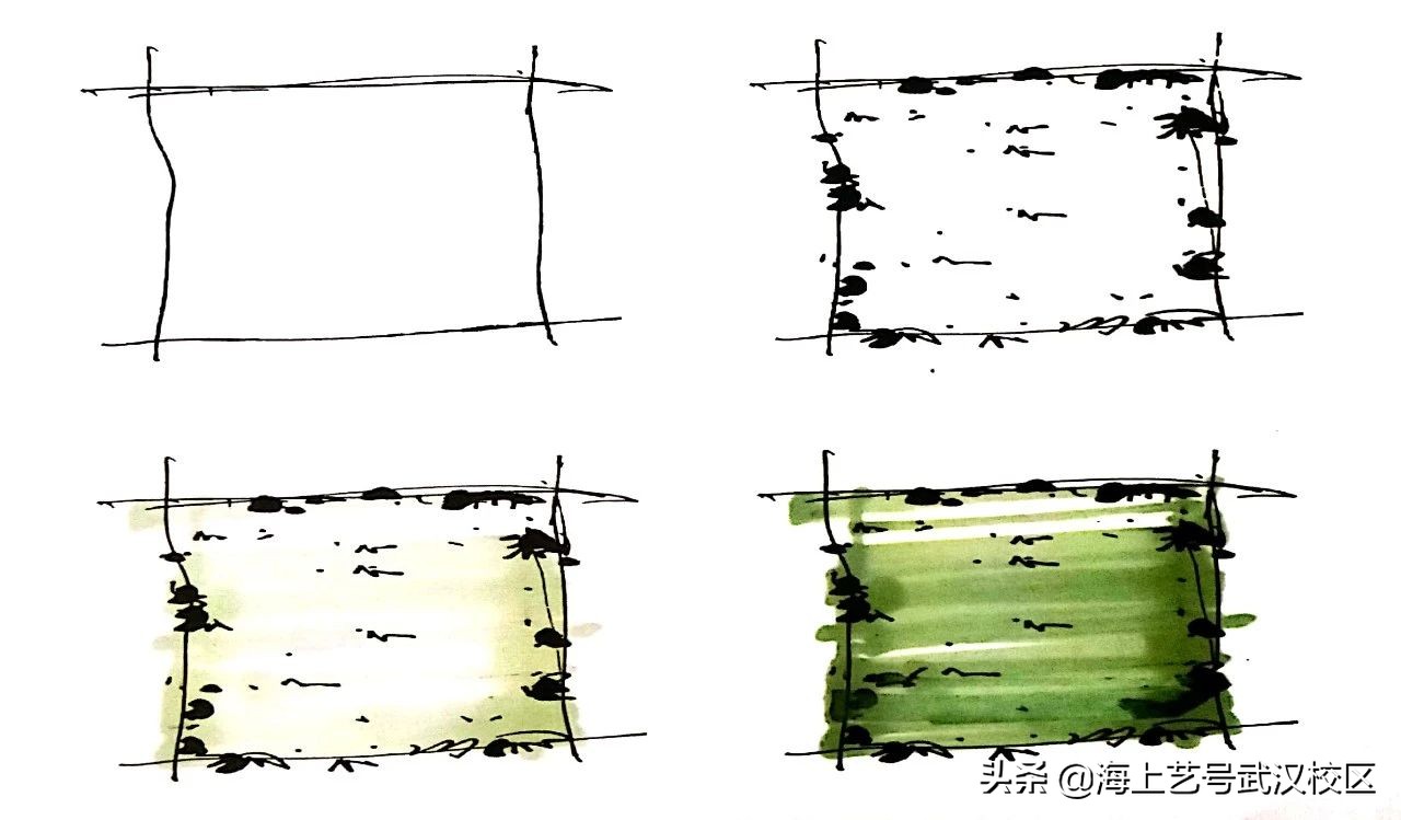 干货分享|植物的平面图画法