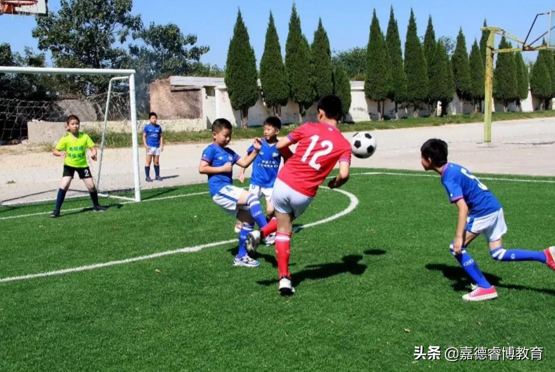 专访清华心理系主任：他把中国家庭的教育焦虑，分析得好透彻