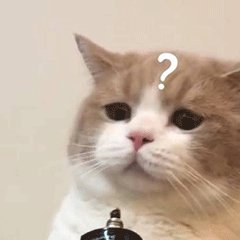 最全！2020年中级3科难度排行榜来了！考生吵翻了