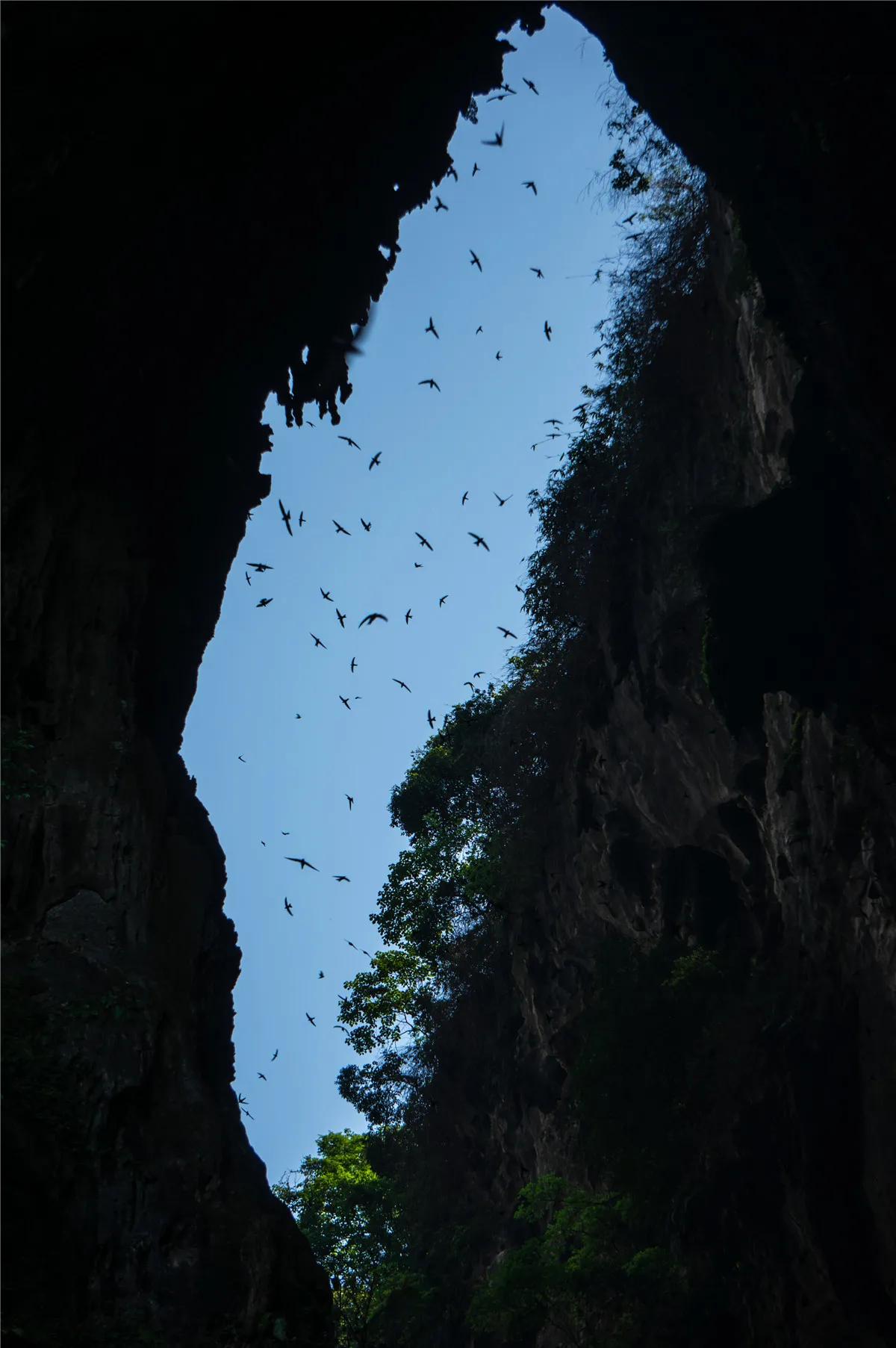 持清远旅游年卡，漂流、泡温泉等三十多个景点免费，景区如何赚钱