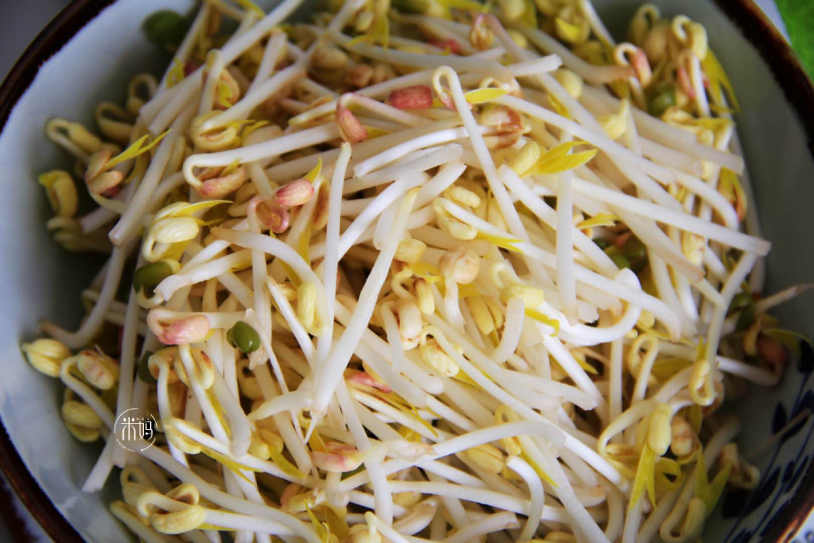 这个发豆芽小秘方，姥姥用了半辈子，又粗壮又脆嫩，3天就能吃﻿