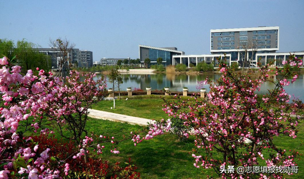 徐州医科大学麻醉专业（深度分析）