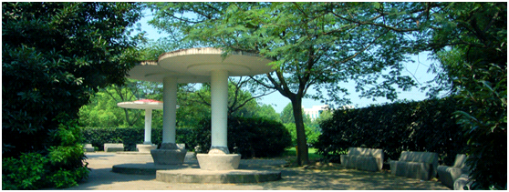 就业率98%、一大批学生考研清华！报考湖北这所大学，前景广阔