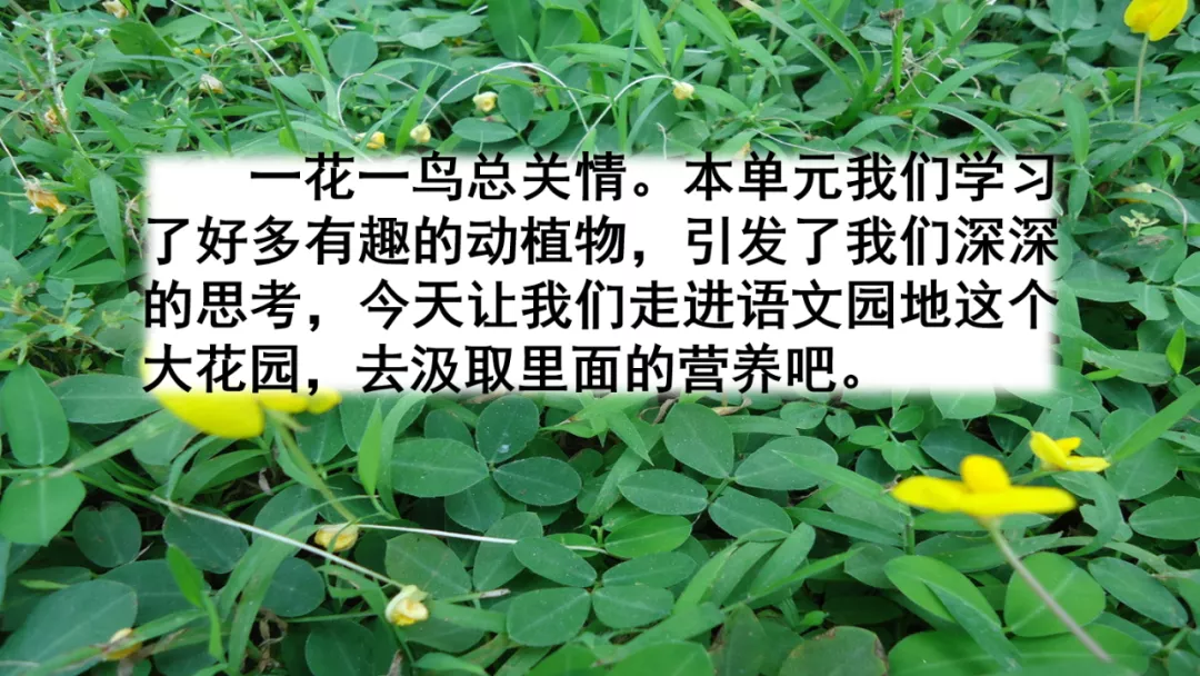 部编语文五年级上册《语文园地一》知识点+图文解读+课堂练习