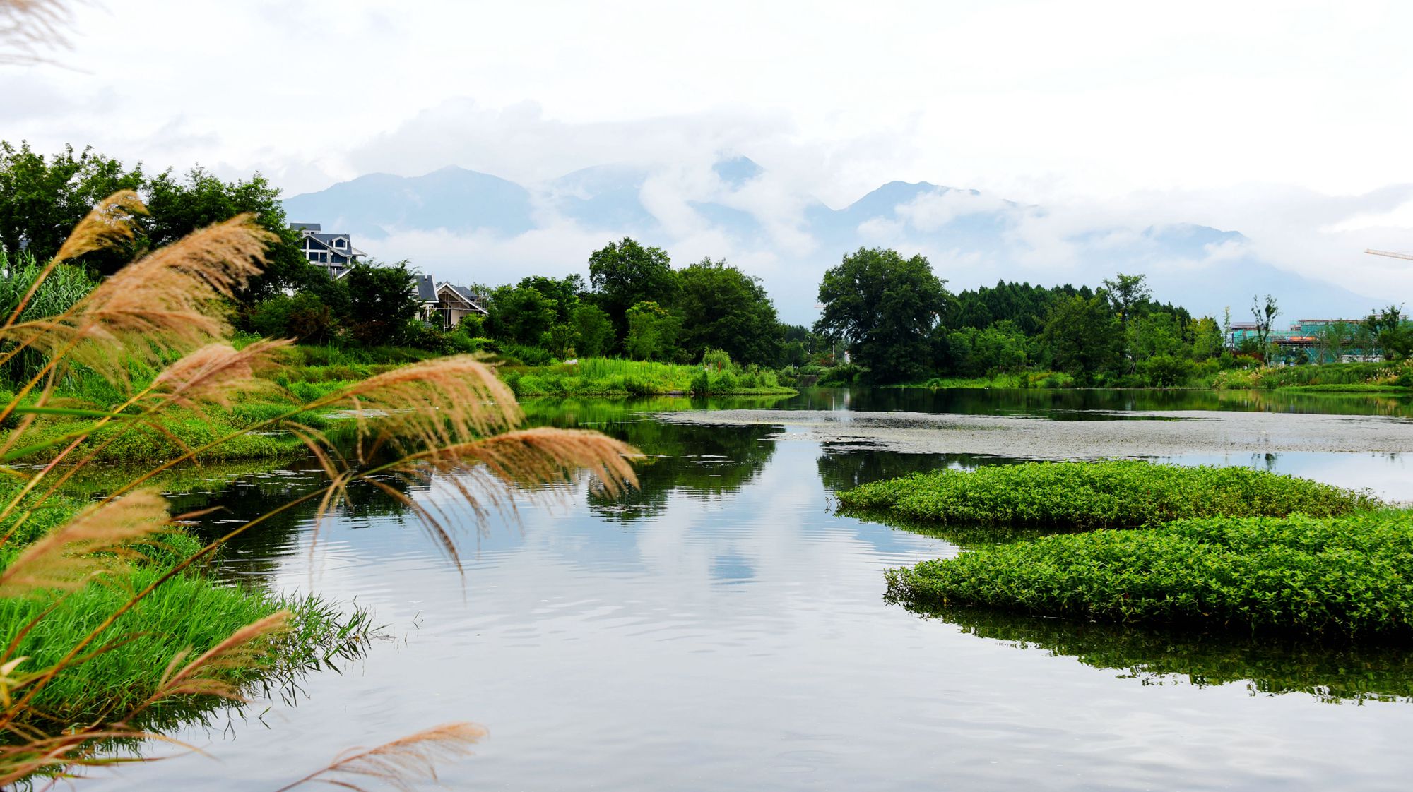 浙江仙居：水清岸绿景色美