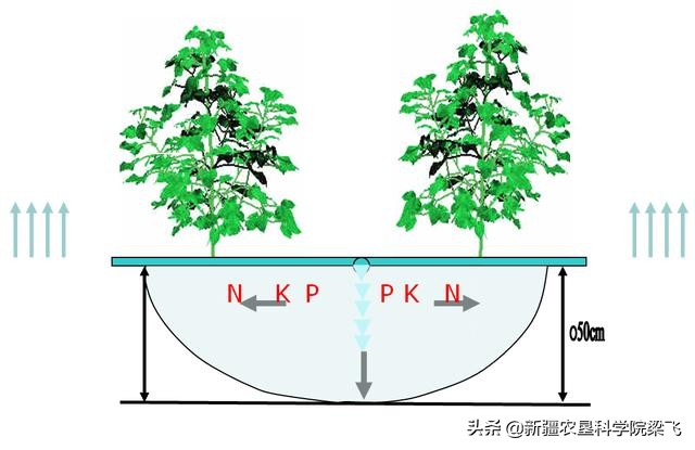 铬酸银是什么颜色(土壤改良请勿自欺欺人，掩耳盗铃；如何科学改良与综合利用)