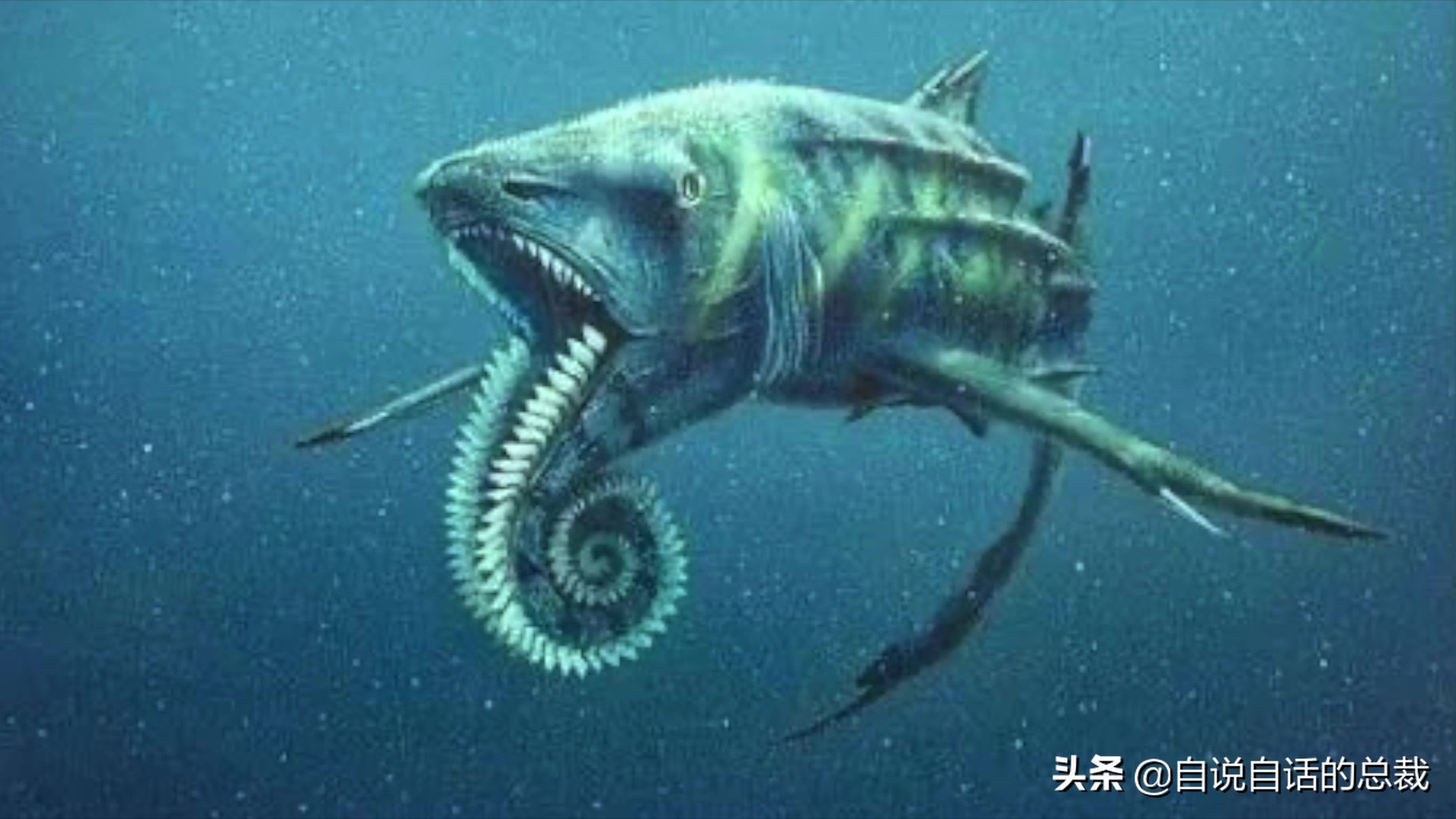 海怪怎么吃(5种比巨齿鲨还恐怖的海怪)