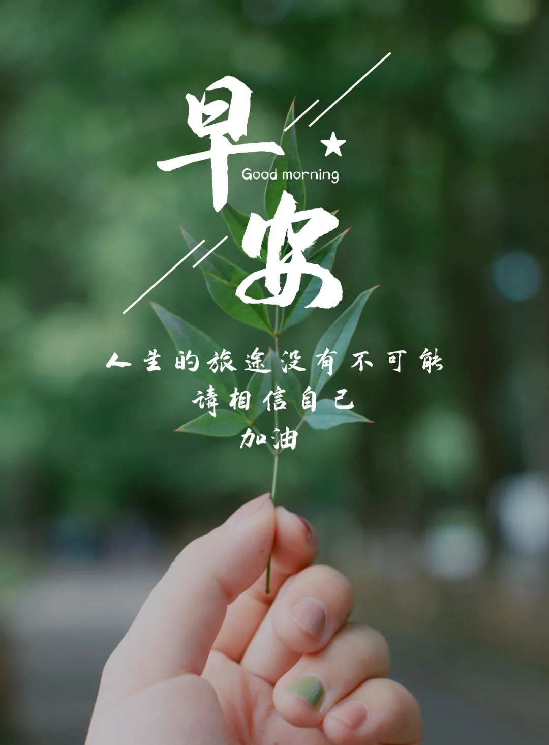 7月3日正能量早安日签图片文字：要么驾驭生命，要么生命驾驭你