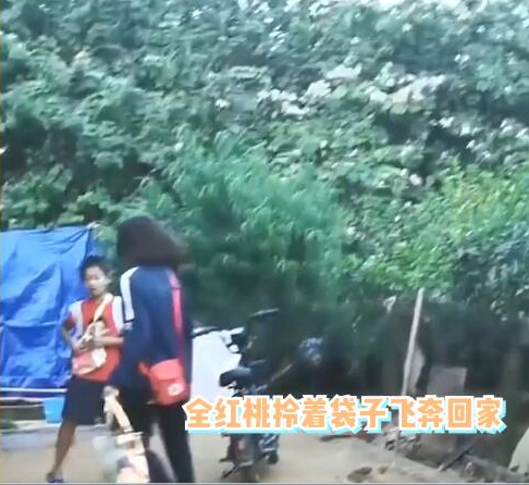 全红婵太有面！回广州市长亲自接见，两大因素或许会毁掉她的事业