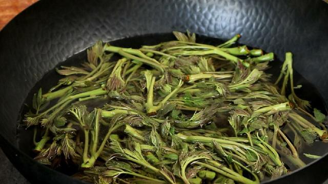 香椿如何保存时间更长（香椿怎么保存时间久）-第6张图片-巴山号