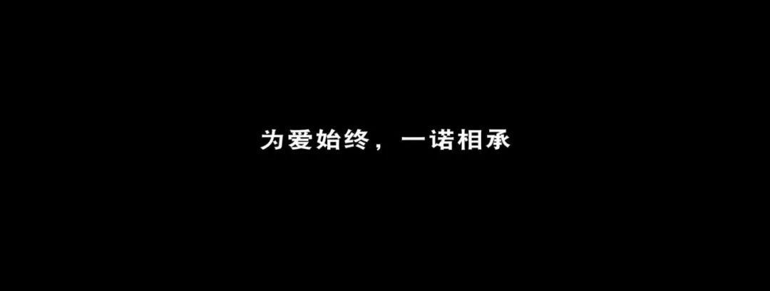 奥迪感恩节广告，这次不翻车