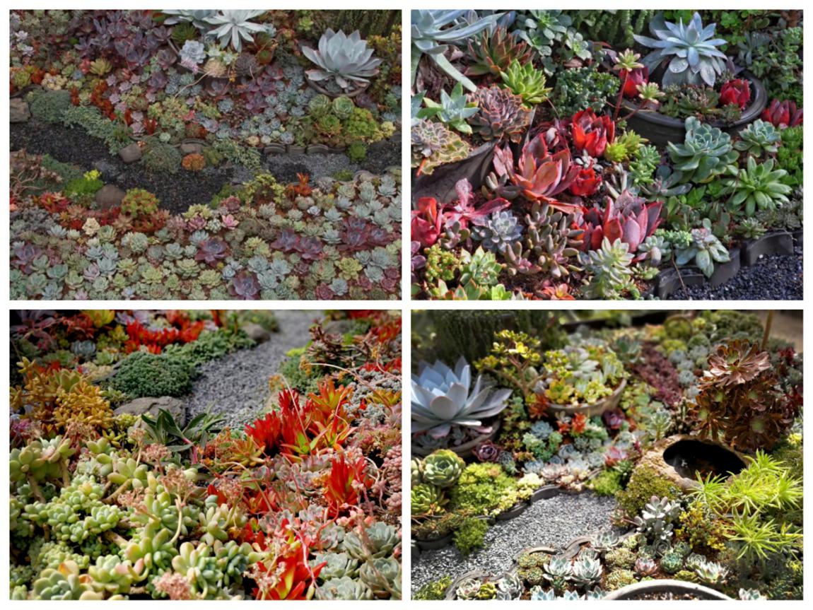 北京这个学校很“火”！坐拥3大花园、果园、动物园，集美貌与知识于一体！