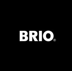童年筑梦师：来自瑞典的BRIO