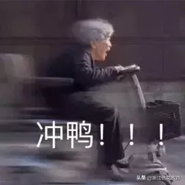 【重磅】2019年浙江省内49所院校“三位一体”招生简章全部已出！