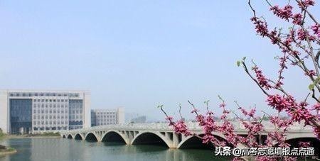 中南大学优势专业分析及2019、2018、2017年各省录取分数线