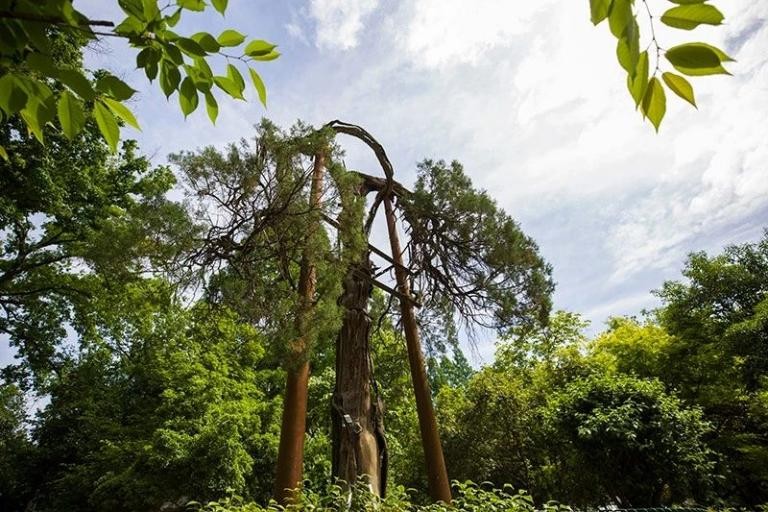 坐拥5个A+学科，铸造大国重器，中国这所世纪学府让世界瞩目！