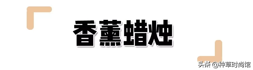 8款情人节礼物！太太太太甜了