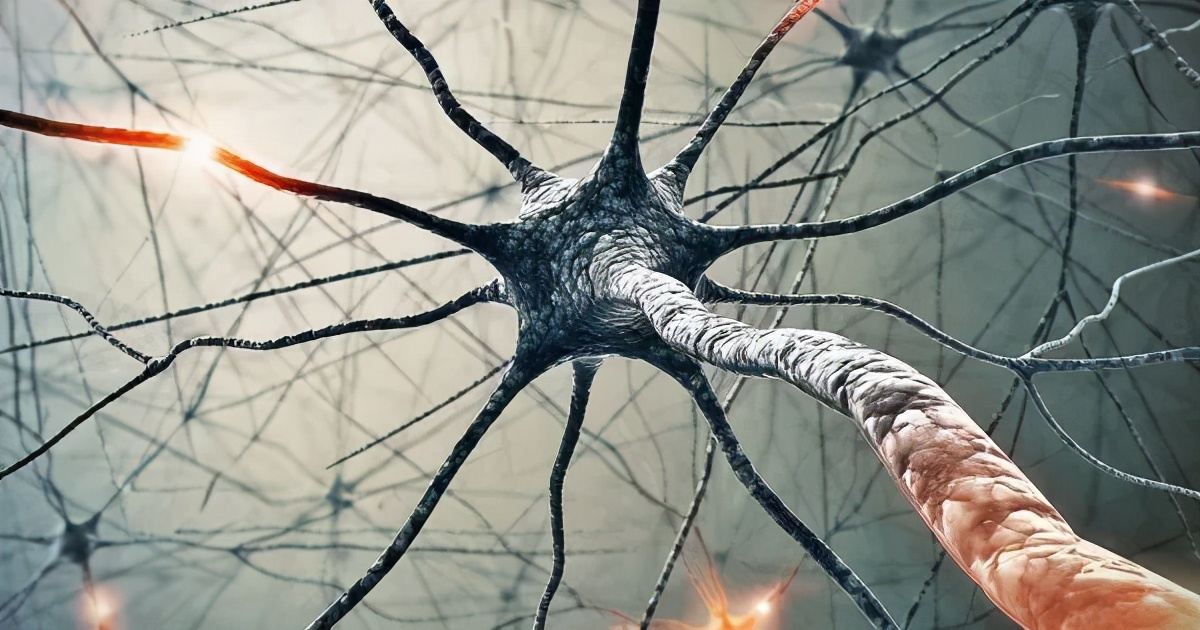 错误的记忆可以被逆转，“记忆操控”真的存在？