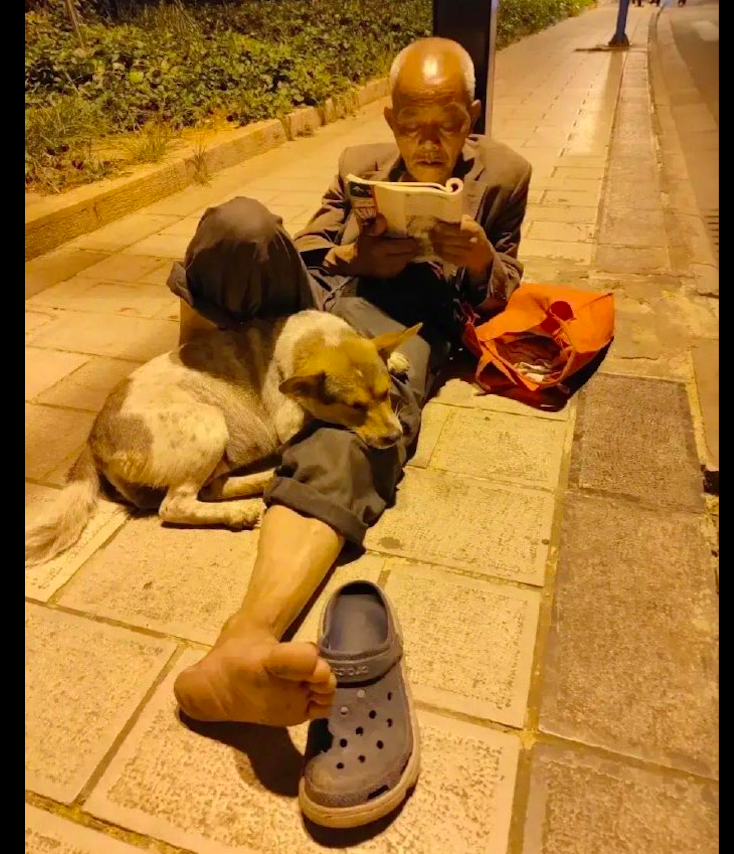 老人在路灯下面看书，腿边还依偎着一只狗狗，一人一狗，却享余生