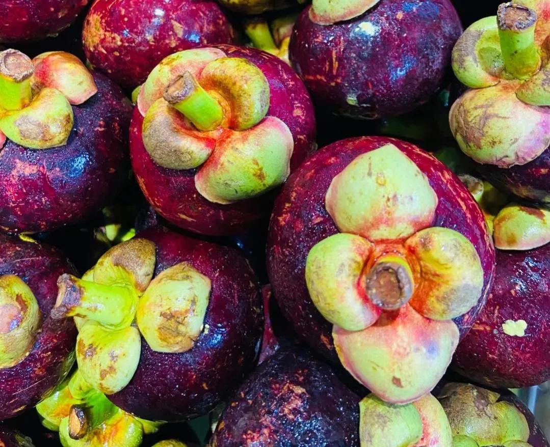 山竹该如何选,掌握以下技巧,一挑一个准