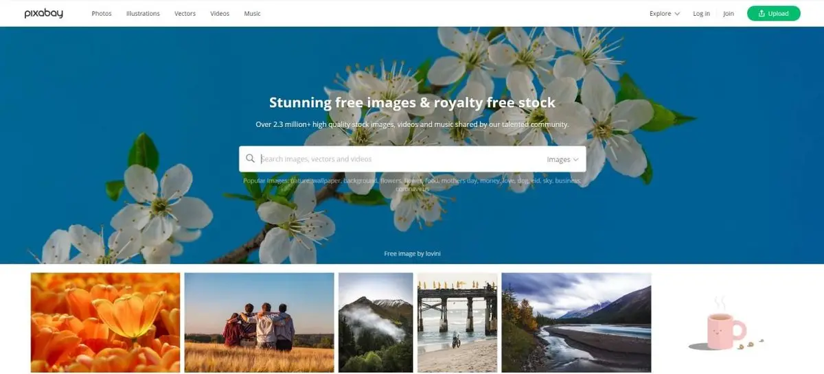 国外图片素材网站有哪些（全球10大免费无版权图片网站）