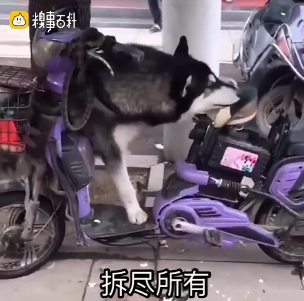 轻松一刻：关于泻火，我有话说