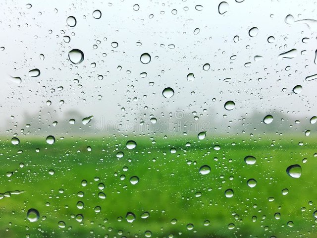 俗语＂七月初七雨淋淋，烟雨连阴十月一＂，七夕节下雨好吗？