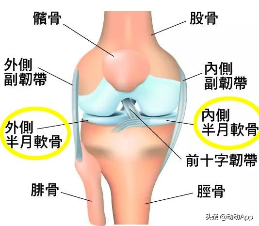 天冷运动膝盖痛？学好这 1 个动作，关节恢复人轻松