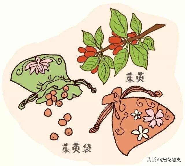 插茱萸的简笔画图片