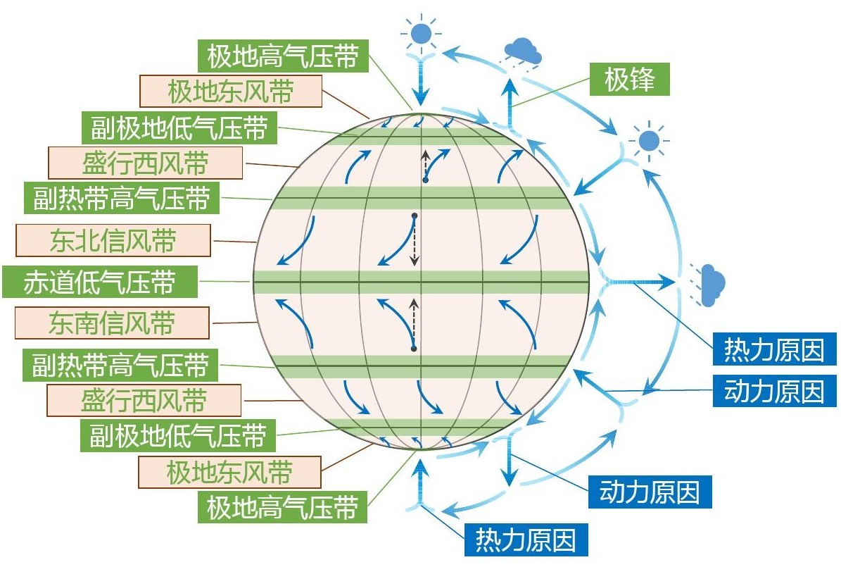 秘鲁渔场形成原因是什么(南美洲西侧的秘鲁沿海，为什么会形成世界著名的“秘鲁渔场”？)