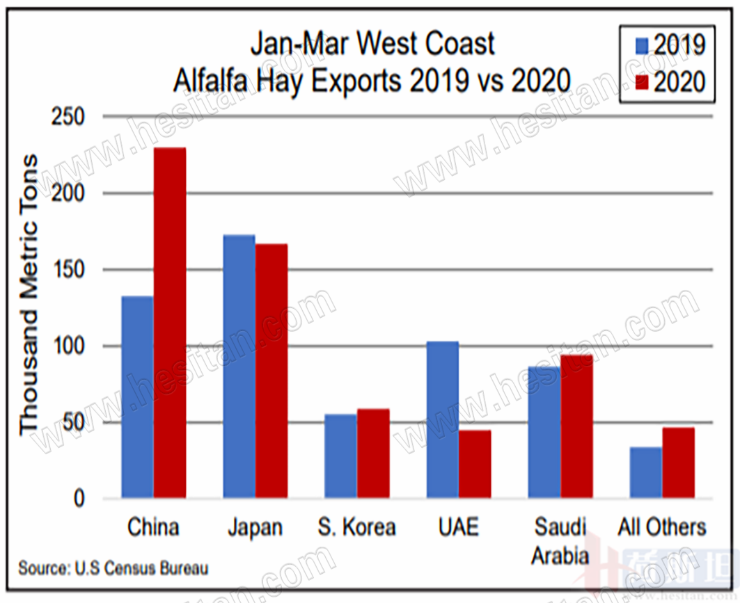 2020美国苜蓿一级草量足价降 优级&特优级持续紧俏