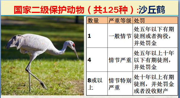 国家保护动物分几个等级（125类二级野生保护名录）